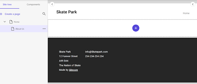 Skate Park contact page layout