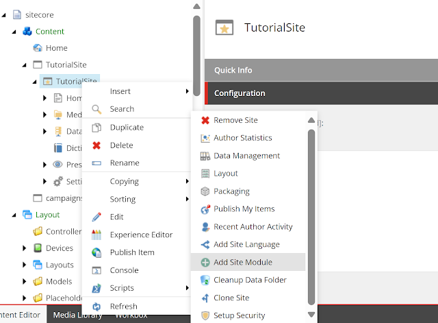 Sitecore site module options