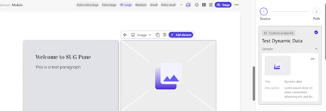 Dynamic data integration preview