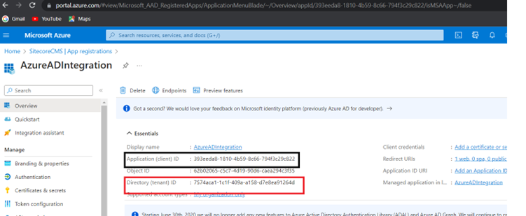 Azure AD Application and Directory IDs