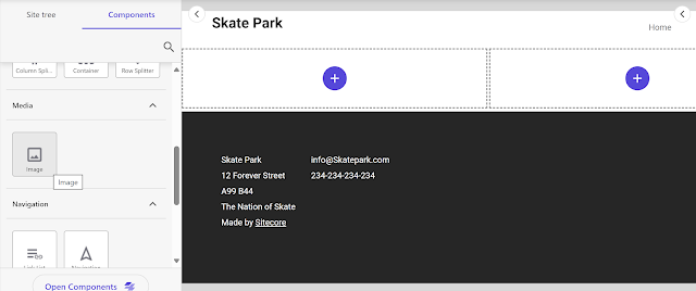Skate Park website design preview
