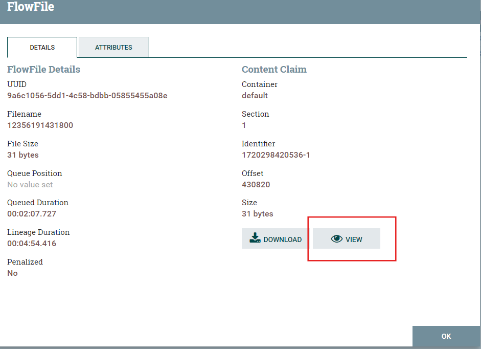 FlowFile details in NiFi