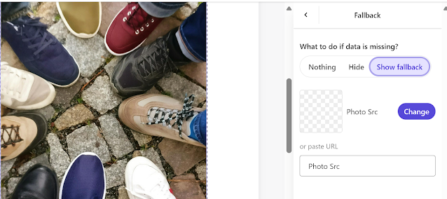 Fallback settings for missing image data