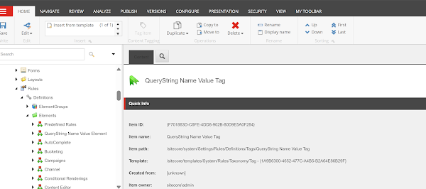 QueryString Name Value Tag details